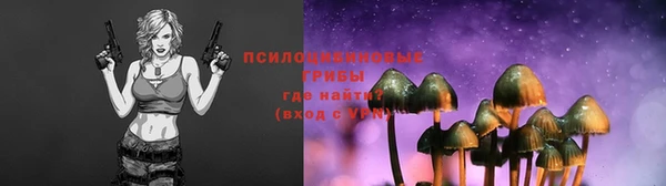 гашик Щучье