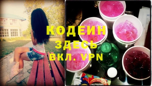 гашик Щучье