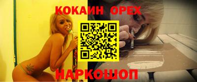 спиды Камышлов
