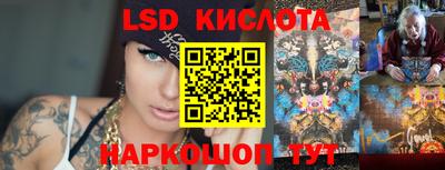 спиды Камышлов