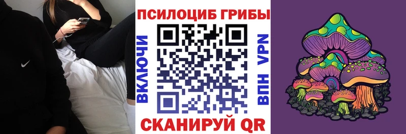 купить  сайты  Прокопьевск  Псилоцибиновые грибы мицелий 