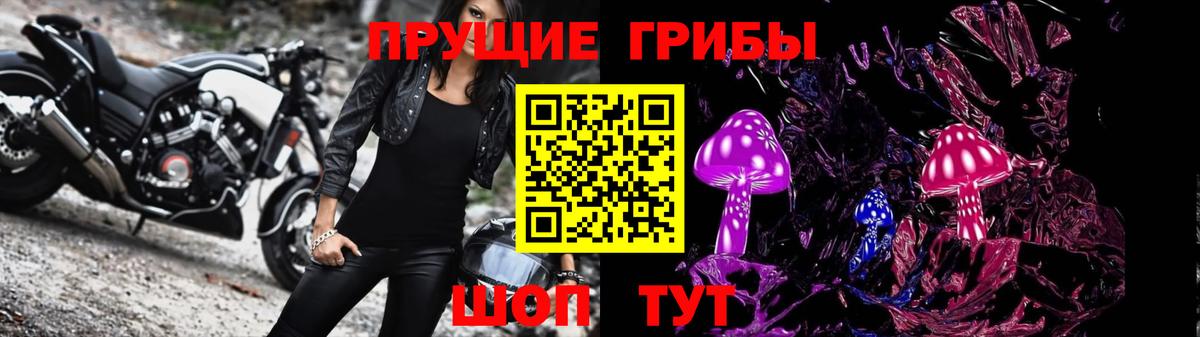 закладки  Галлюциногенные грибы прущие грибы  Псилоцибиновые грибы MAGIC MUSHROOMS  Вход с VPN  Прокопьевск 